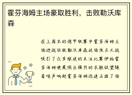 霍芬海姆主场豪取胜利，击败勒沃库森